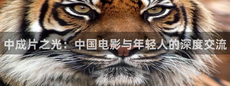 宅男午夜在线免费观看：中成片之光：中国电影与年轻人的深度交流