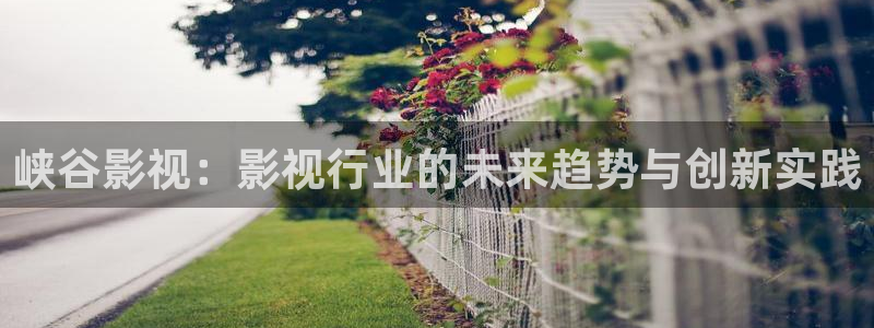 老司机午夜影院免费频道：峡谷影视：影视行业的未来趋势与创新实践