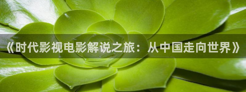 午夜电影网西瓜影院：《时代影视电影解说之旅：从中国走向世界》