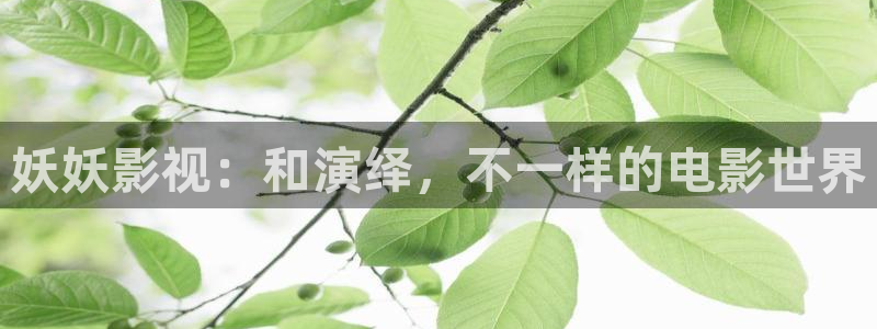 澳门午夜在线播放：妖妖影视：和演绎，不一样的电影世界