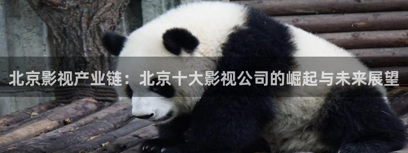 午夜理论片yy8840影院：北京影视产业链：北京十大影视公司的崛起与未来展望