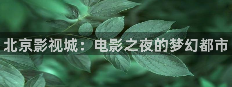 欧美午夜电影网址：北京影视城：电影之夜的梦幻都市