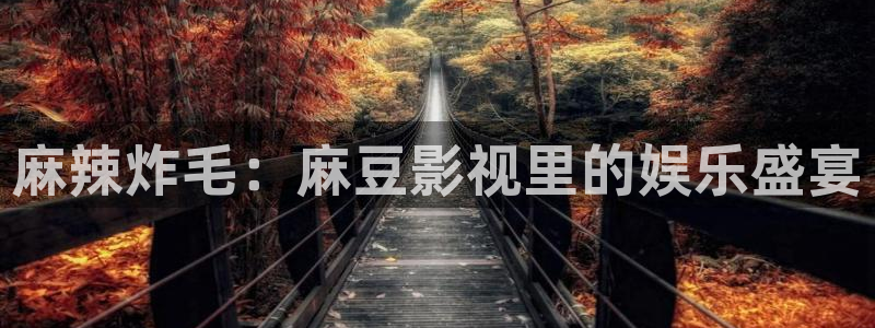 神马电影网线午夜：麻辣炸毛：麻豆影视里的娱乐盛宴