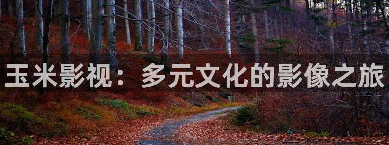 秋霞神马午夜伦理：玉米影视：多元文化的影像之旅