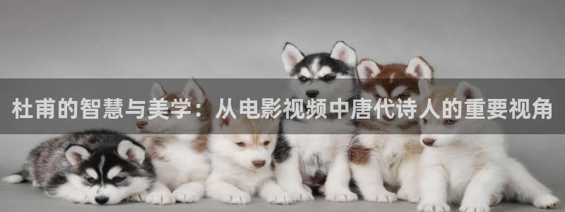 神马电影午夜秀场：杜甫的智慧与美学：从电影视频中唐代诗人的重要视角