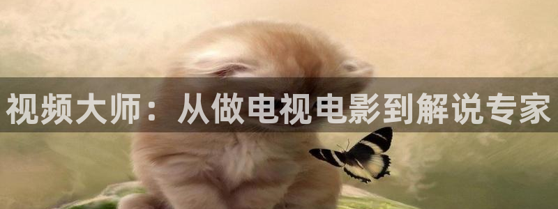 午夜片网：视频大师：从做电视电影到解说专家