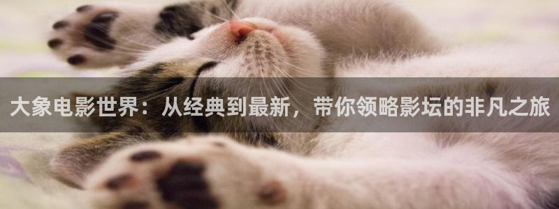 九九影院午夜理论片被窝电影网：大象电影世界：从经典到最新，带你领略影坛的非凡之旅