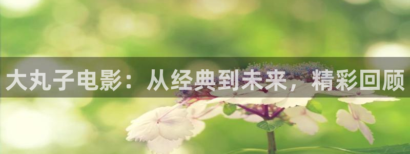 男人影院午夜：大丸子电影：从经典到未来，精彩回顾