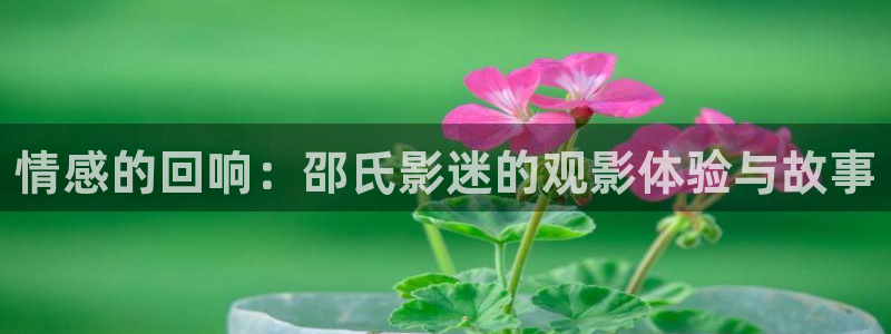 在线午夜伦理网站：情感的回响：邵氏影迷的观影体验与故事