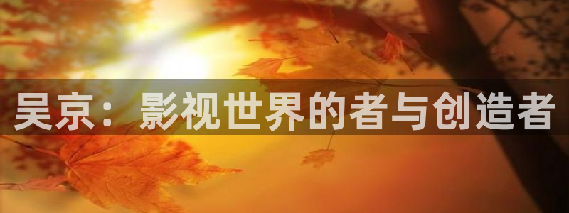 电视剧午夜蝴蝶在线观看：吴京：影视世界的者与创造者