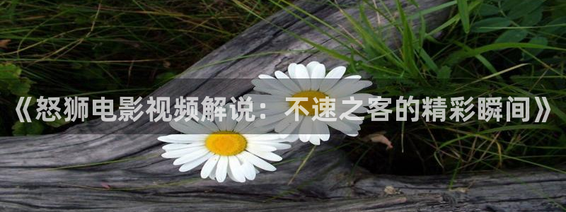 午夜dj免费完整在线看：《怒狮电影视频解说：不速之客的精彩瞬间》