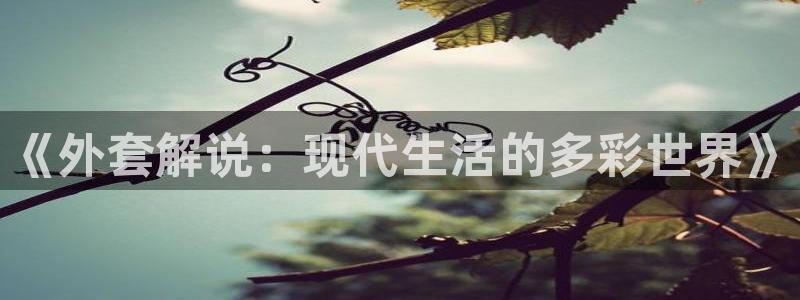 午夜看小片：《外套解说：现代生活的多彩世界》