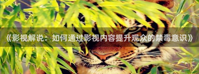 神马午夜理论电影：《影视解说：如何通过影视内容提升观众的禁毒意识》