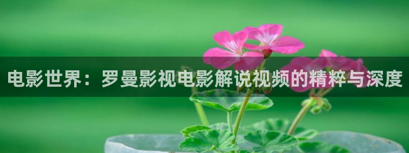 日韩午夜片：电影世界：罗曼影视电影解说视频的精粹与深度