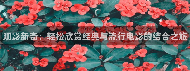 gogo午夜影院