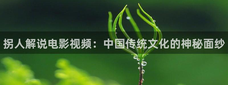 午夜a私人影院：拐人解说电影视频：中国传统文化的神秘面纱