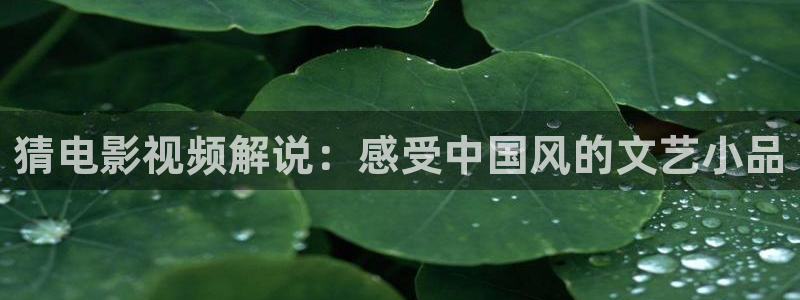 午夜片第一页：猜电影视频解说：感受中国风的文艺小品
