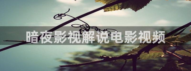 神马午夜神马电影院