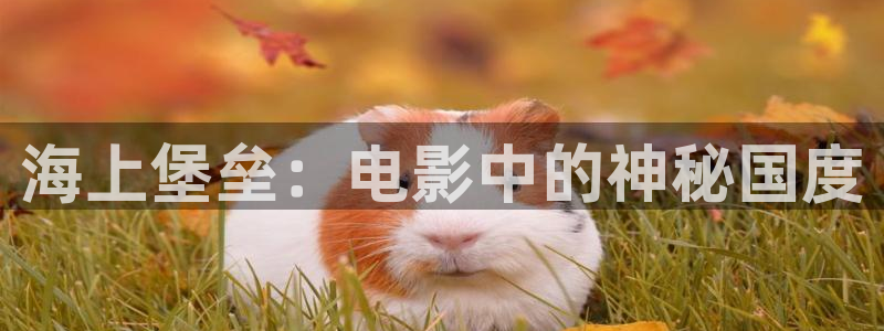 97影院理论午夜伦在线看：海上堡垒：电影中的神秘国度