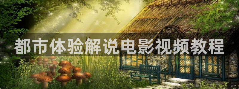 被窝午夜新影院：都市体验解说电影视频教程