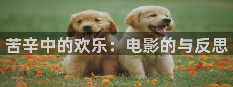 欧美午夜成午夜成年片在线观看：苦辛中的欢乐：电影的与反思