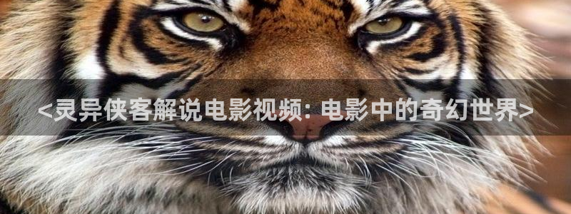 日本成年人午夜影院：<灵异侠客解说电影视频: 电影中的奇幻世界>