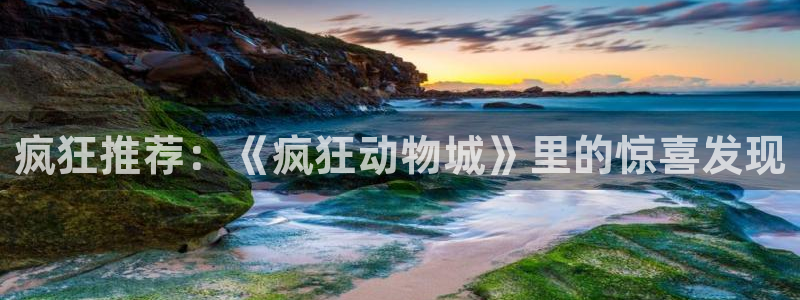午夜av黄色：疯狂推荐：《疯狂动物城》里的惊喜发现