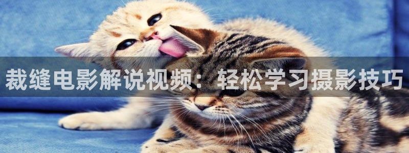 午夜夫妻免费影院